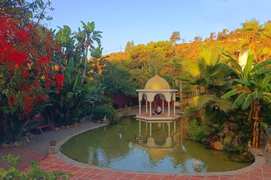 Meditation_!800x1200